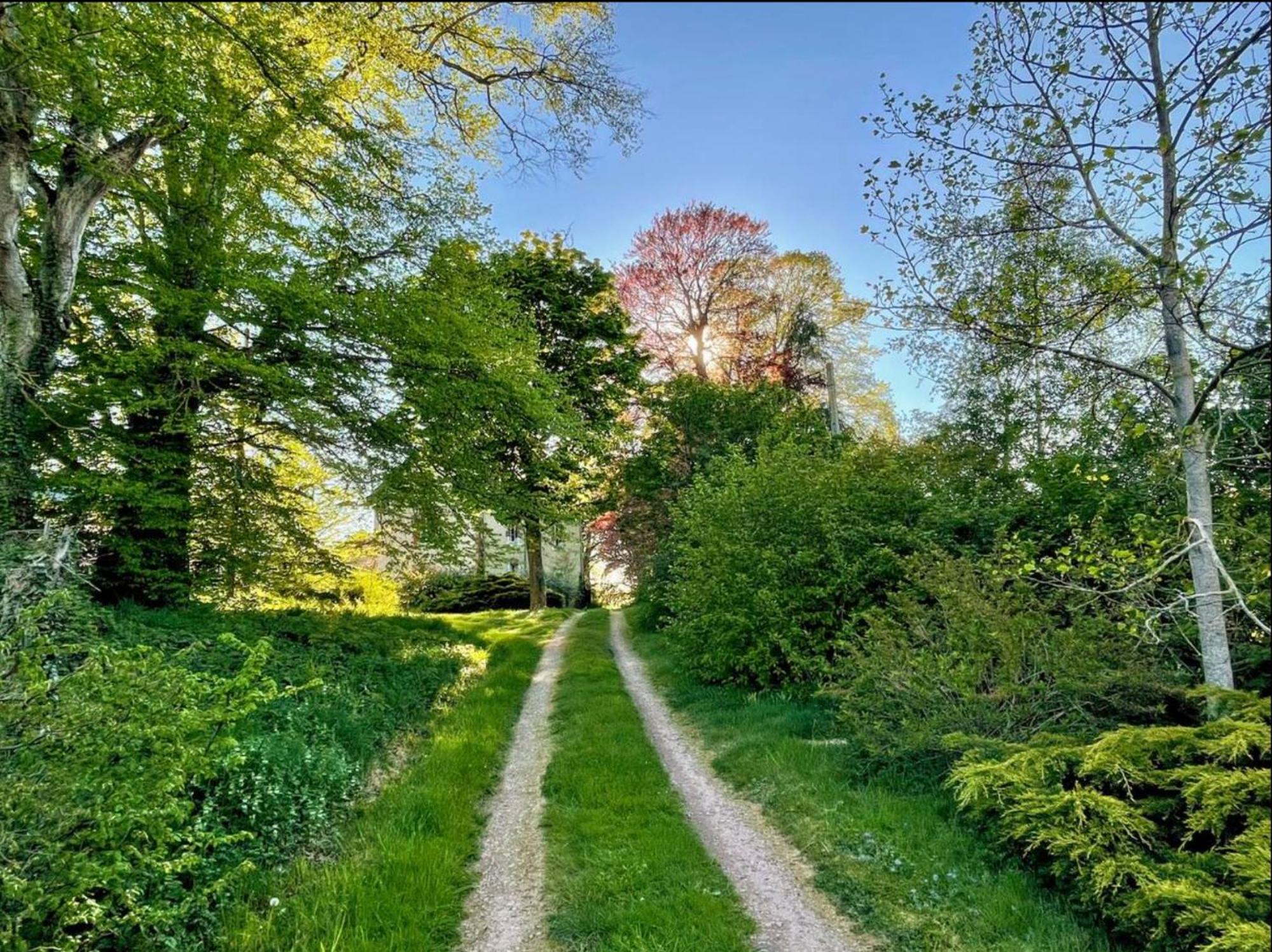 Chateau De La Combe La Celle  エクステリア 写真