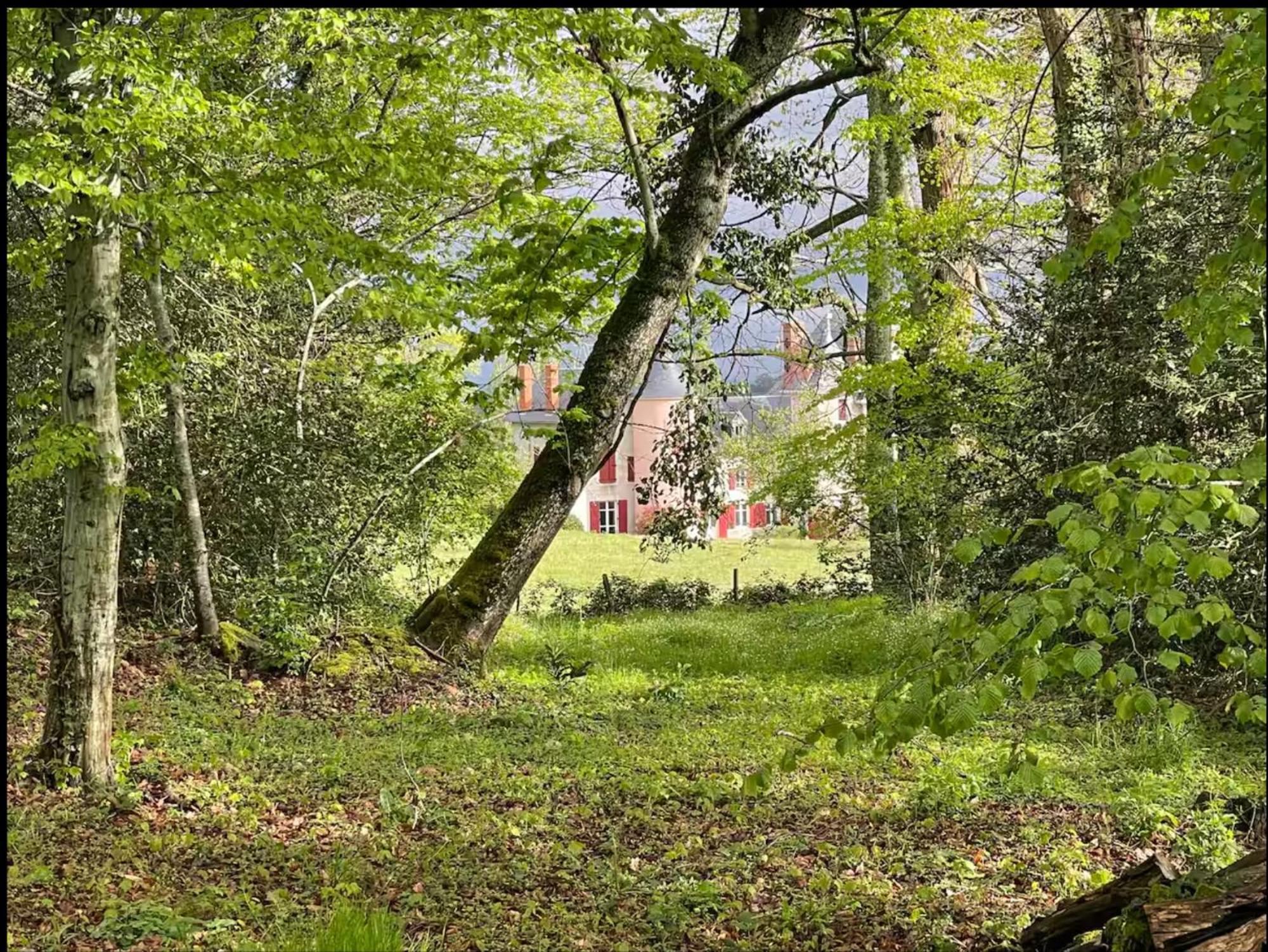 Chateau De La Combe La Celle  エクステリア 写真